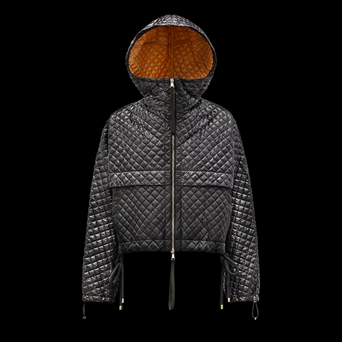 モンクレール ダウンジャケット スーパーコピー 2 MONCLER 1952 ウィメンズ G10941A51800C0684999